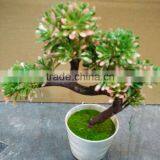 Wholesale Mini Artificial Green Plant Bonsai for Promotion thumbnail-5