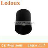 Hidden Adjustable Cob Surface Mounted Light