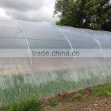 Greenhouse Covering thumbnail-5