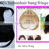 Clip hair Fringe