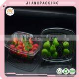 High Quality Plastic Disposable Fruit Packaging Container for Sale