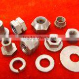 Titanium Fastener