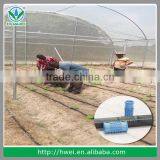 PE Hose Pipe/ Plastic Flexible Hose / Water PE Garden Hose thumbnail-4