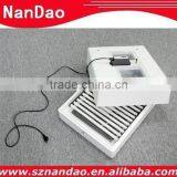 Chicken Egg Incubator Eggs thumbnail-1