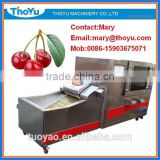 Professional Cherry Stone Separating Machine(SMS: 0086-15903675071)