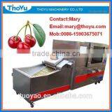 Professional Cherry Stone Separating Machine(SMS: 0086-15903675071)