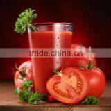 Large Capacity Tomato Pulping Machine