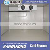 Good Quality New Technology Cold Storage Solutions thumbnail-4