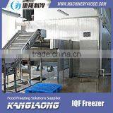 High Quality IQF Frozen Fruit Mango Machine With Good Price thumbnail-5