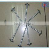 Trade Assurance Umbrella Roofing Nails With Twist Shank 2'' 2.5'' 3'' From China thumbnail-1