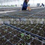 50 Cell, 105 Cell Plastic Seedling Tray thumbnail-1