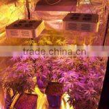 Cob Grow Led Lights 300w Led Grow Light Full Spectrum for Medical Plants thumbnail-5