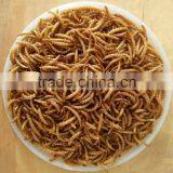 Rich nutrition 2.8cm fish feed mealworm