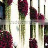 SOL 2015 NEW DESIGN Pots Planters Plant Potting Compost Bins thumbnail-3