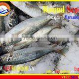 FROZEN MARUADSI WHOLE ROUND (ROUND SCAD) thumbnail-2