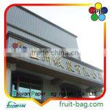 TPBI Fruit and Vegetables Packaging Materials Growing Paper Bag Protection Paper Bag thumbnail-6