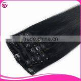 Top Quality Easy Clips Hair Extensions 100% Brazilian Remy Hair Extension Clip In thumbnail-1