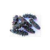 Energy Saving Sea Cucumber Dryer With 0.75KW Circulating Fan For Sea Cucumber