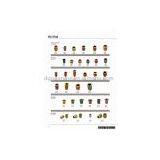 Insert Nuts thumbnail-1