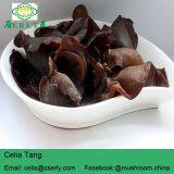 GMP Supply 100% Natural Black Fungus thumbnail-3