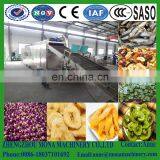Belt Dryer Machine,commercial Food Dehydrator Machine Industrial Food Drying Machine thumbnail-2