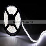 Hot Sale!!! DC24V 72LEDs/m SMD5630 Led Flexible Strip thumbnail-1