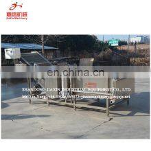 Air Bubble Industrial Fruit and Vegetable Washer Machine Price thumbnail-4