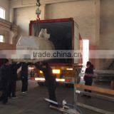 Instant Noodle Production Line thumbnail-5