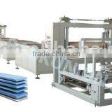 XPS Foam Board Machine
