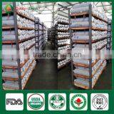 Magic Mushrooms,Shiitake Mushroom Spawn,Polish Wild Dried Mushrooms thumbnail-3