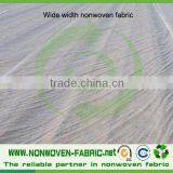 Non-woven/ Non Woven Fabric Roll for Agriculture Cover