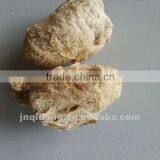 Textured Soy Protein Machinery