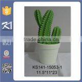 Funny Porcelain Cactus Figurine Home Decoration thumbnail-3