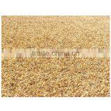 Golden Cheap Chinese Gravels/Gravel Stone thumbnail-1