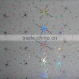 PVC Ceiling Panel (RPV101-5) thumbnail-1