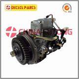 Export Fuel Injection Pumps ADS-VE4/11E1800L008 Injection Pumps NJ-VE4/11E1800L008 VE Pump thumbnail-1