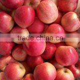 Fresh Apples thumbnail-3