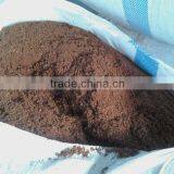 Cocopeat thumbnail-1