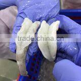 China BQF Frozen PND Vannamei Shrimp Price With High Quality thumbnail-6