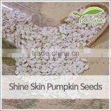Chinese High Quality Pepitas Pumpkin Seeds thumbnail-2