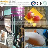 Rotary Paper Pulp Egg Tray Machine/paper Egg Carton Making Machine