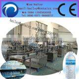Professional and High Efficiency Bottled Spring Water Filling Machine