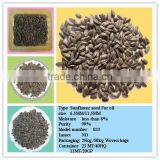 Bulk Black High Quality Oil Sunflower Seeds Competitive Price