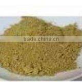Moringa Fruit Powder thumbnail-1
