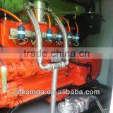 Camda 250KW Biogas/natural Gas Generator thumbnail-5