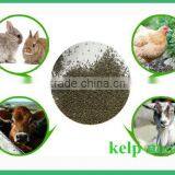 Natural Feed Grade Kelp Meal thumbnail-3