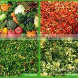 Sale Fruit and Vegetable Crusher Fruit Vegetable Crusher Machine Fruit Vegetable Crusher Juicer thumbnail-6