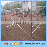 Powder Coated Ladder Scafolding for Construction thumbnail-2