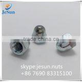 High Quality Nut Cap thumbnail-5