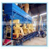 Hot Sale Wood Pellet Mill/Biomass Pellet Machine/Wood Pellet Machine with CE
